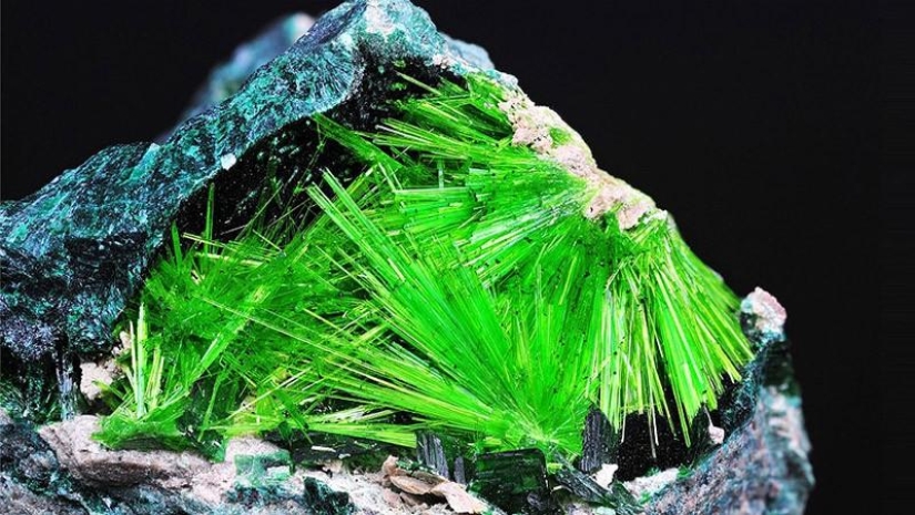 Los minerales más sorprendentes Los minerales más sorprendentes