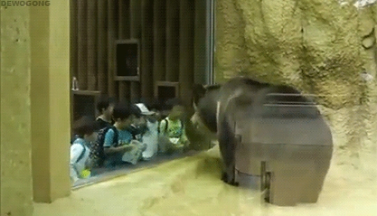 Los niños son niños: los gifs que sin duda te harán sonreír Los niños son niños: los gifs que sin duda te harán sonreír