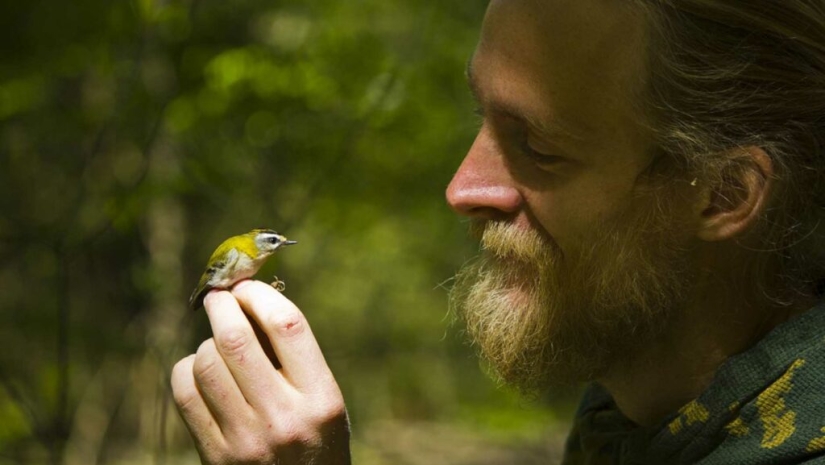 Los pájaros orinan: un ornitólogo responde a una pregunta interesante