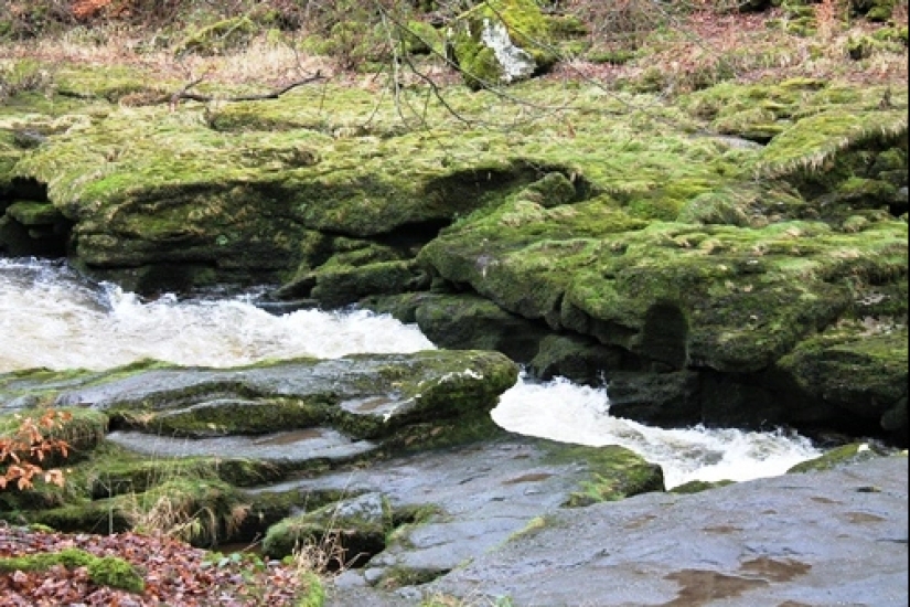 Los terroríficos secretos de Bolton Strid: el arroyo más mortífero de Gran Bretaña