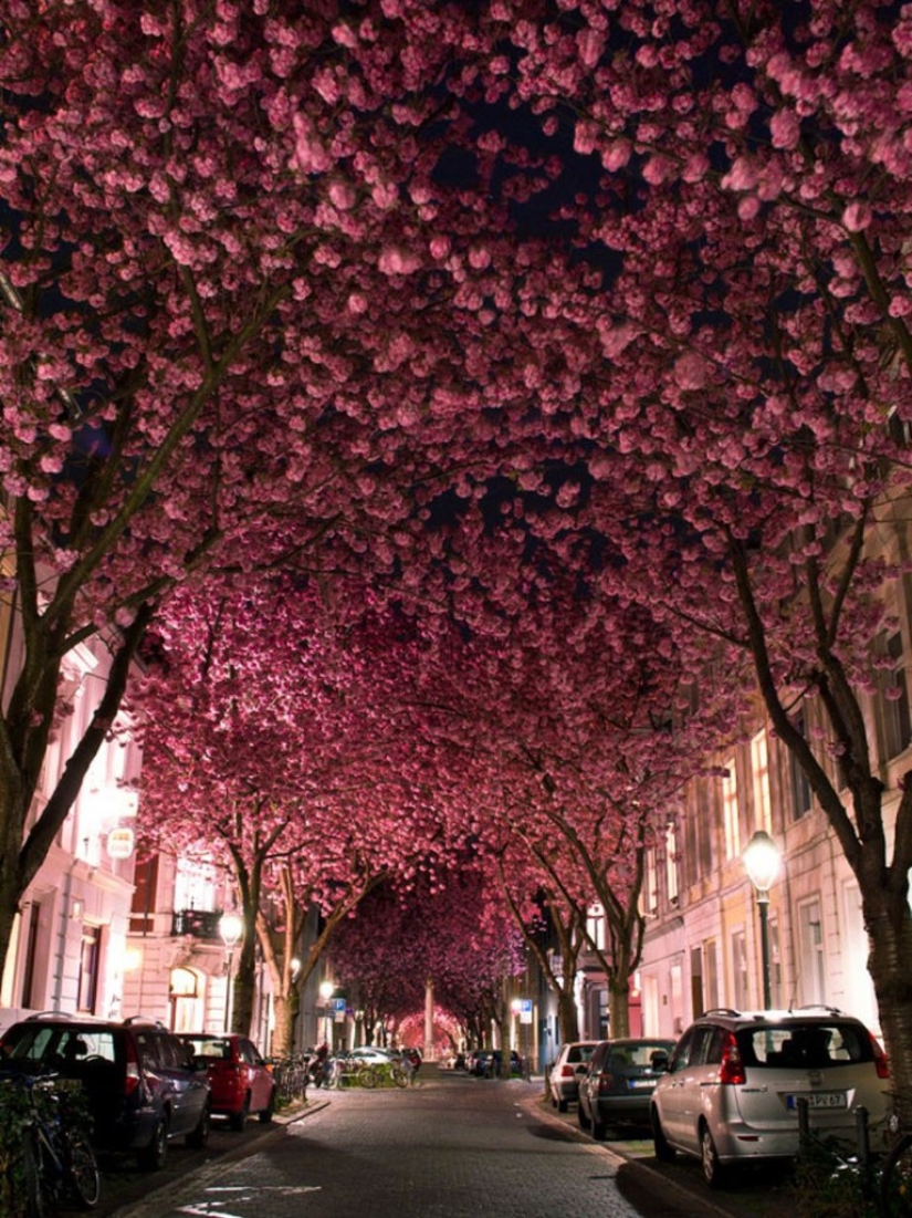 Los túneles de transporte más inusuales