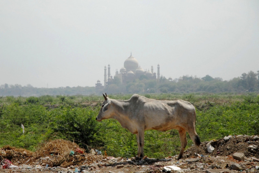 Los turistas no tienen lugar aquí: atracciones mundiales tomadas desde un ángulo extremadamente desfavorable Los turistas no tienen lugar aquí: atracciones mundiales tomadas desde un ángulo extremadamente desfavorable