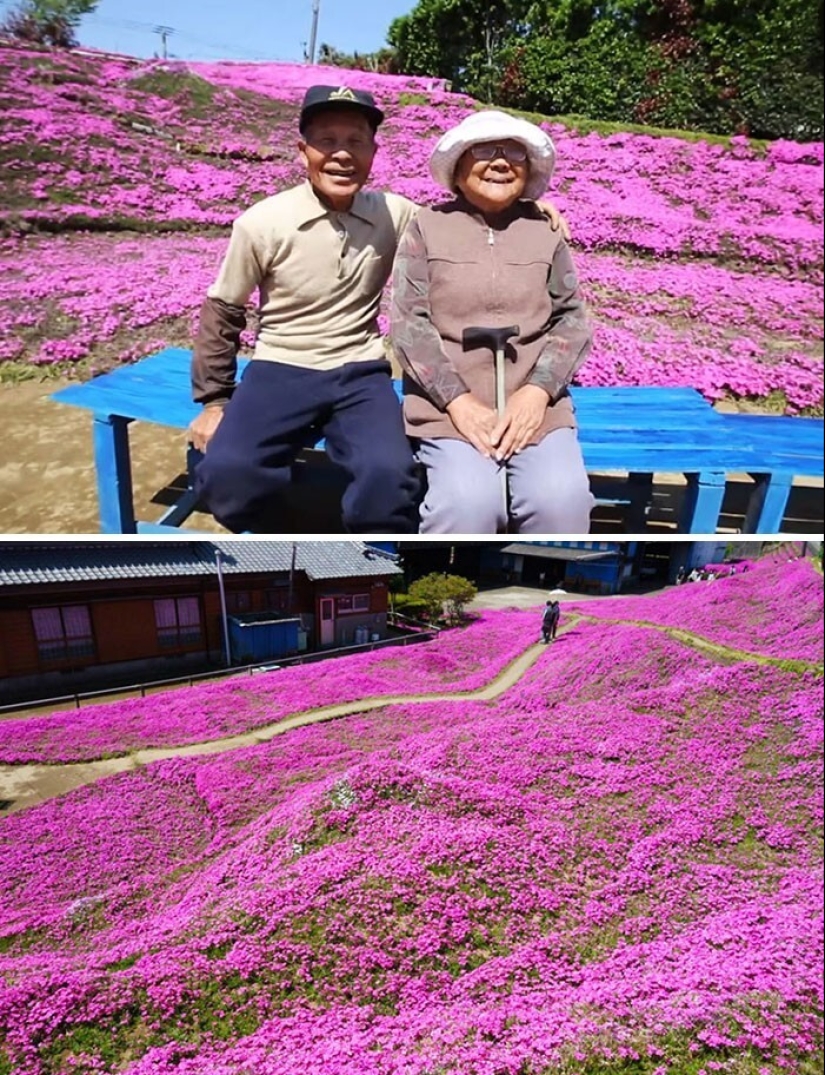 Love exists and here are 40 good photos that prove it