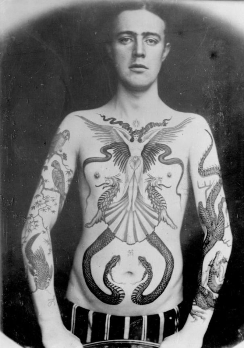 Luxury tattoos of the Victorian era — Cherubs, dragons and coats of arms Luxury tattoos of the Victorian era — Cherubs, dragons and coats of arms