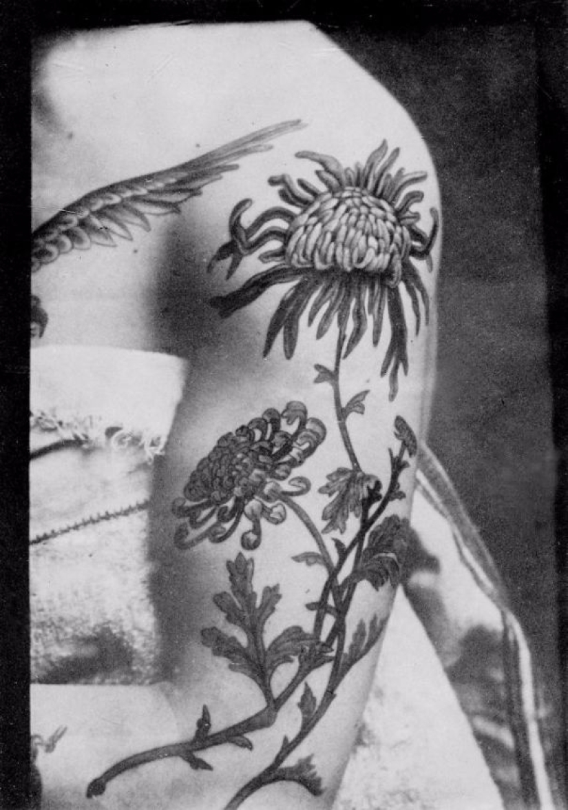 Luxury tattoos of the Victorian era — Cherubs, dragons and coats of arms Luxury tattoos of the Victorian era — Cherubs, dragons and coats of arms