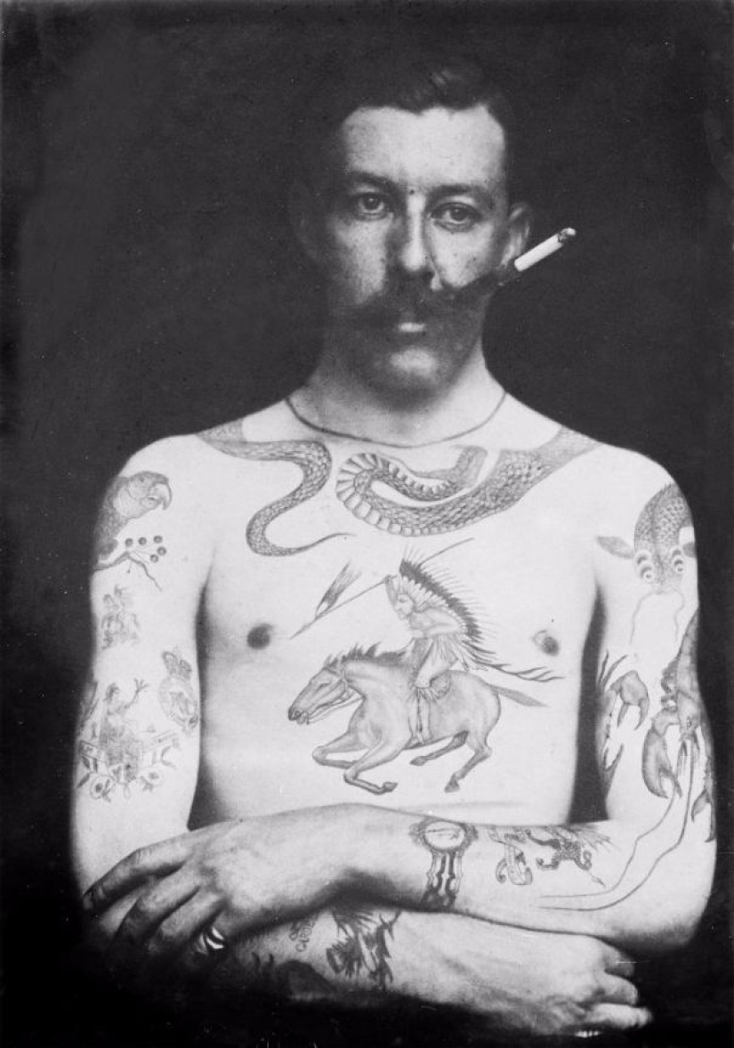 Luxury tattoos of the Victorian era — Cherubs, dragons and coats of arms Luxury tattoos of the Victorian era — Cherubs, dragons and coats of arms