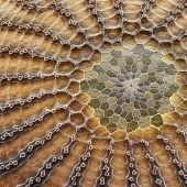 Macrofo – insect eggs