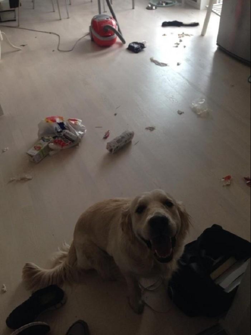 Maestro, sí, no tengo nada que ver con eso en absoluto. Maestro, sí, no tengo nada que ver con eso en absoluto.