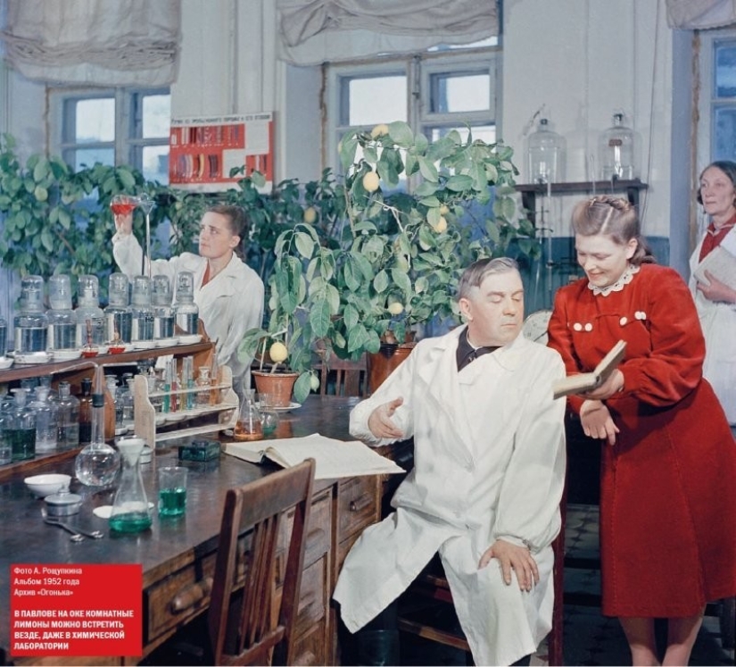 Magazine "Ogonek": illustrations of Soviet life Magazine "Ogonek": illustrations of Soviet life