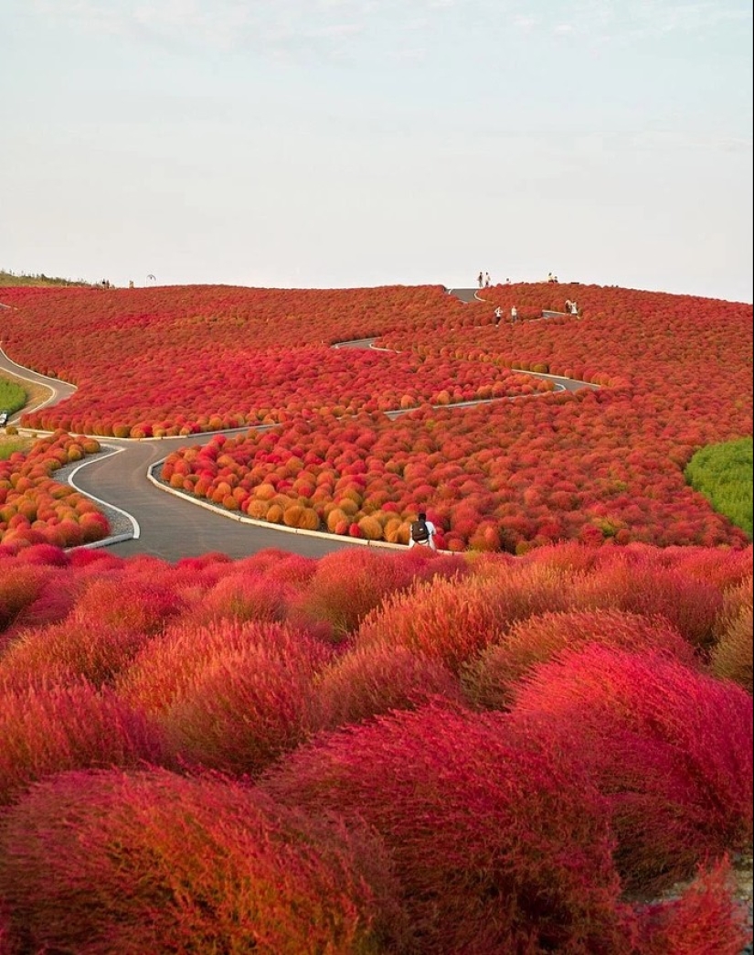 Magical trail leading straight into a fairy tale