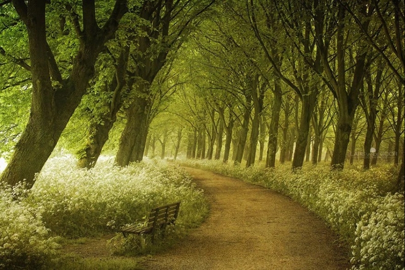 Magical trail leading straight into a fairy tale