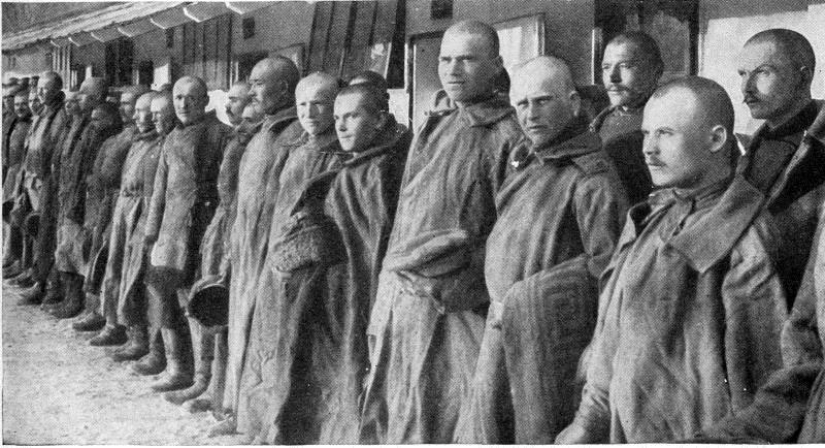 Magyar envenenador de Nagyrev