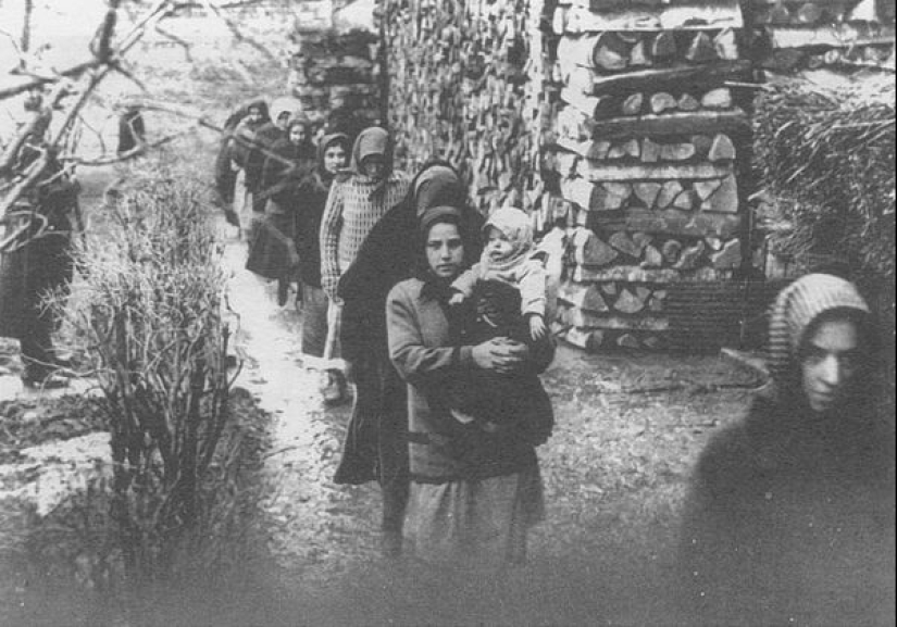 Magyar poisoner of Nagyrev