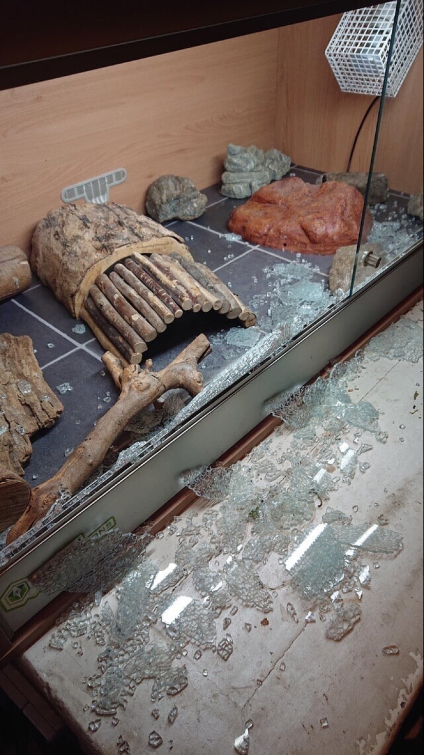 Mala suerte, tan mala suerte: 30 desastres domésticos, cuando todo está destrozado Mala suerte, tan mala suerte: 30 desastres domésticos, cuando todo está destrozado
