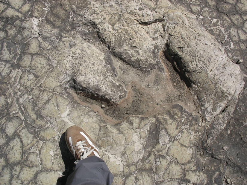 Man and a tame dinosaur: what would be happening on the planet now if dinosaurs had not gone extinct