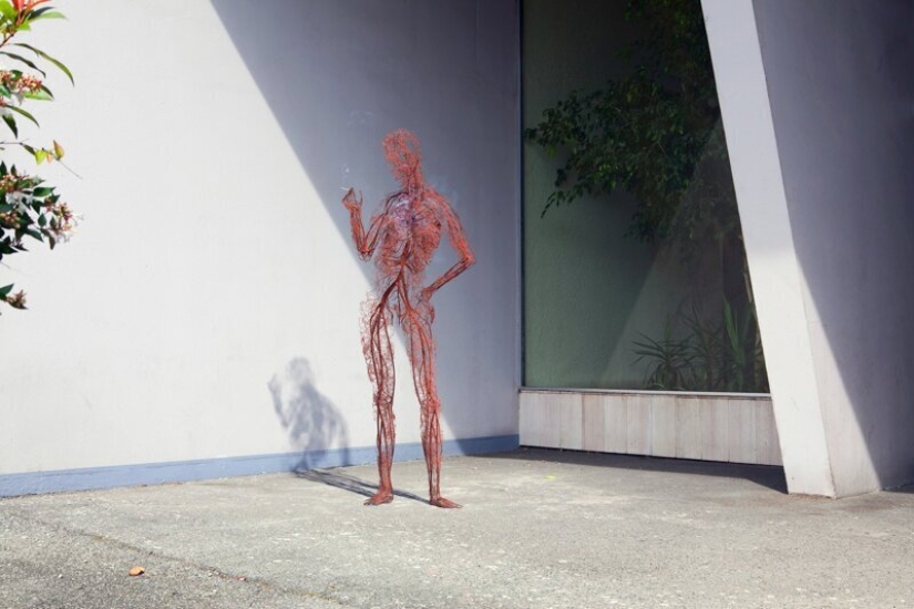 "Man, no matter what": a project about the life of our circulatory system