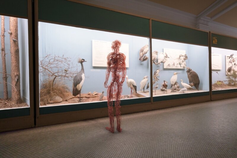 "Man, no matter what": a project about the life of our circulatory system