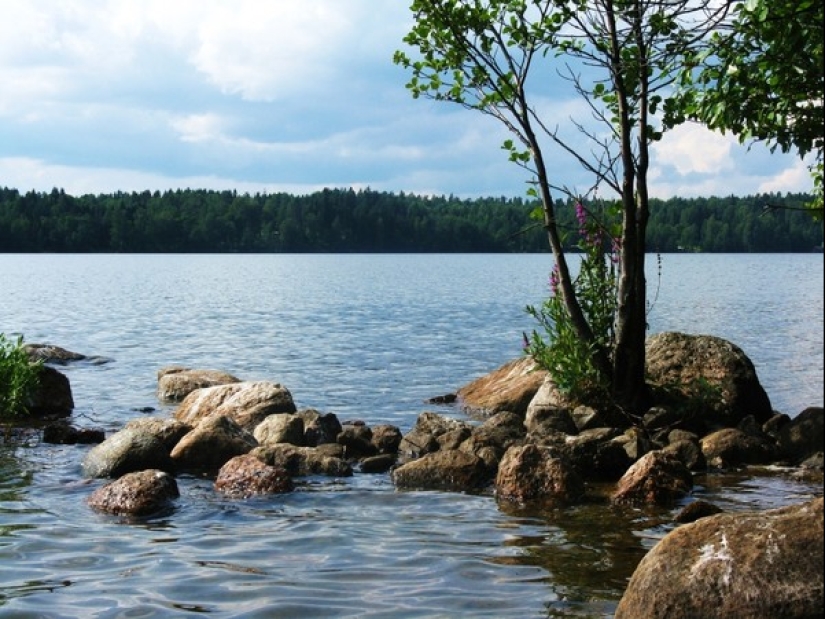 Masacre del lago Bodom: ¿Quién mató a los adolescentes finlandeses en una noche de verano?