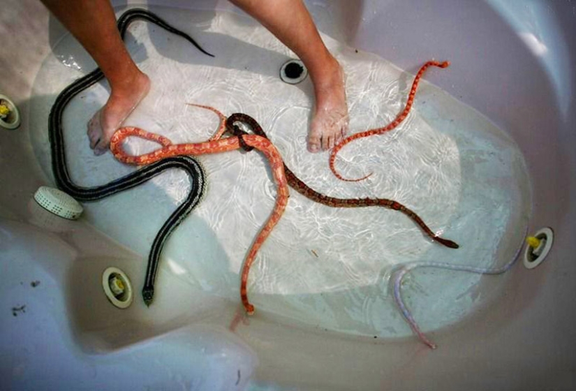 Masaje con serpientes