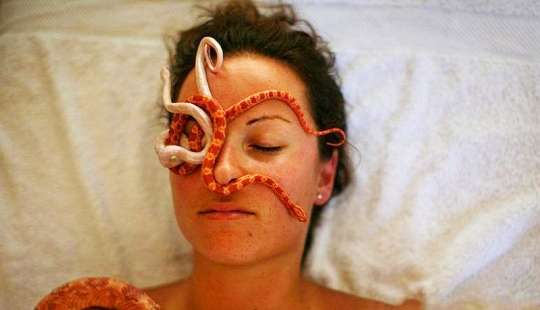 Massage with snakes