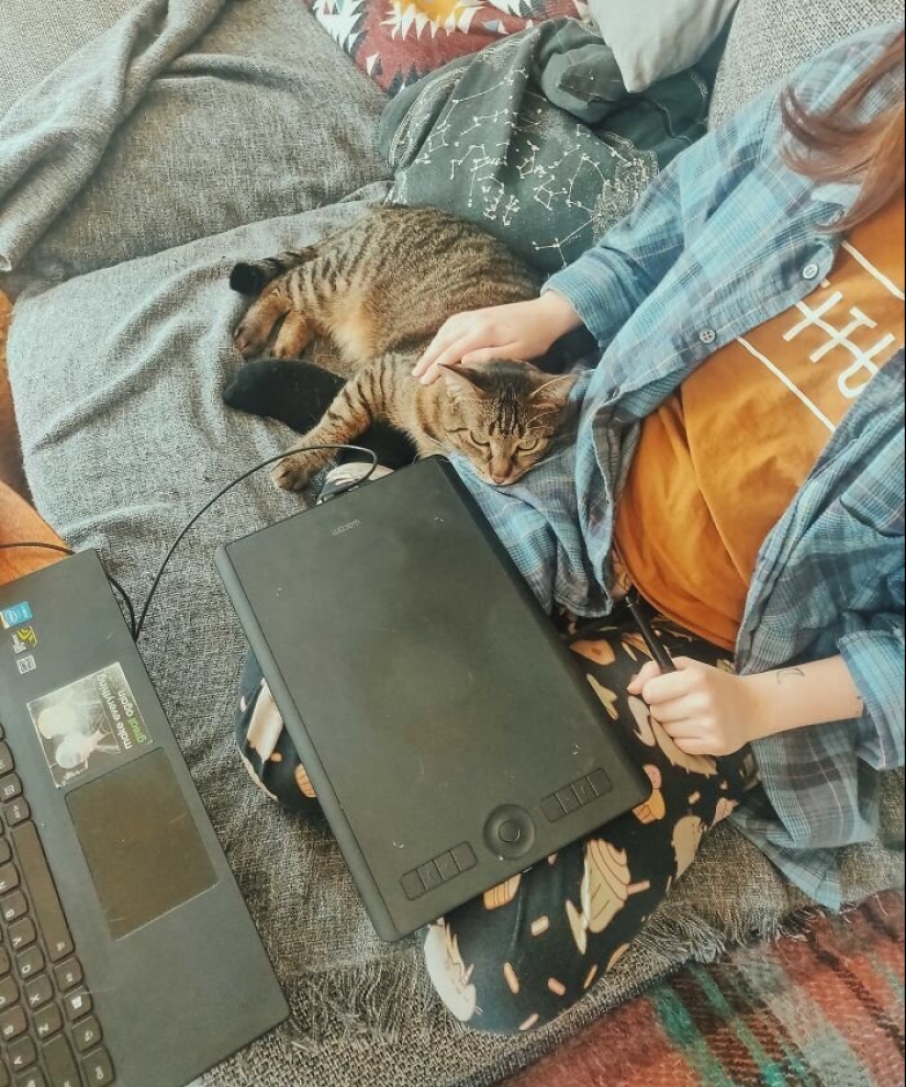 "Master, stop working!": 30 furry assistants in quarantine
