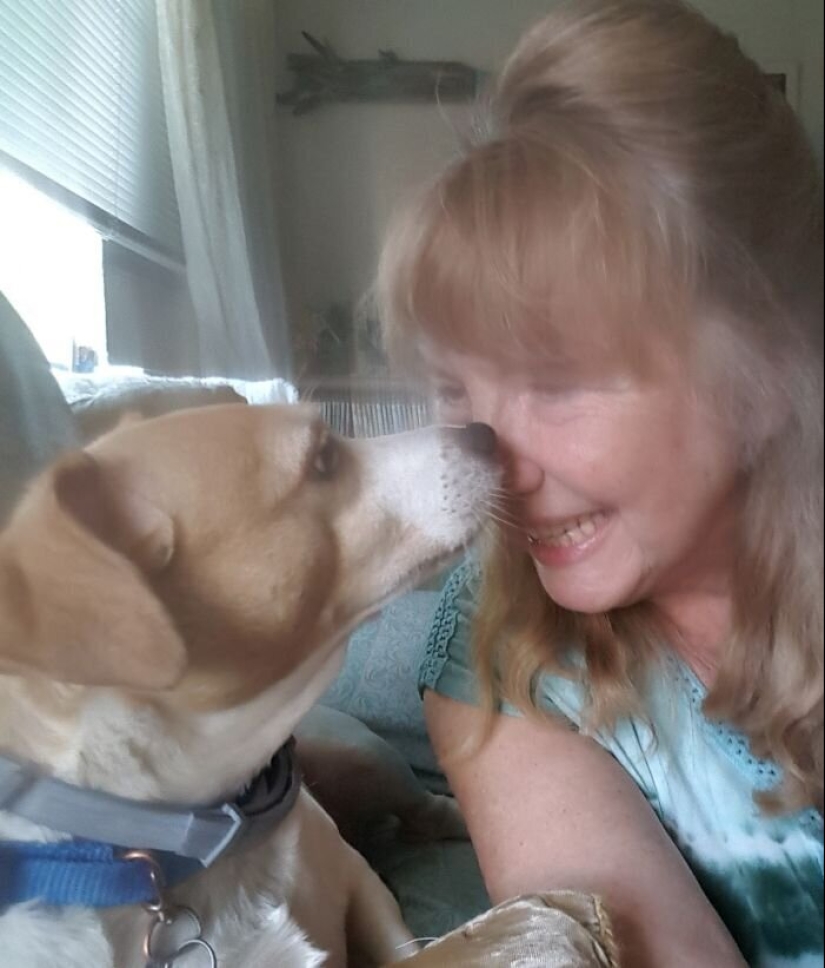 "Master, stop working!": 30 furry assistants in quarantine