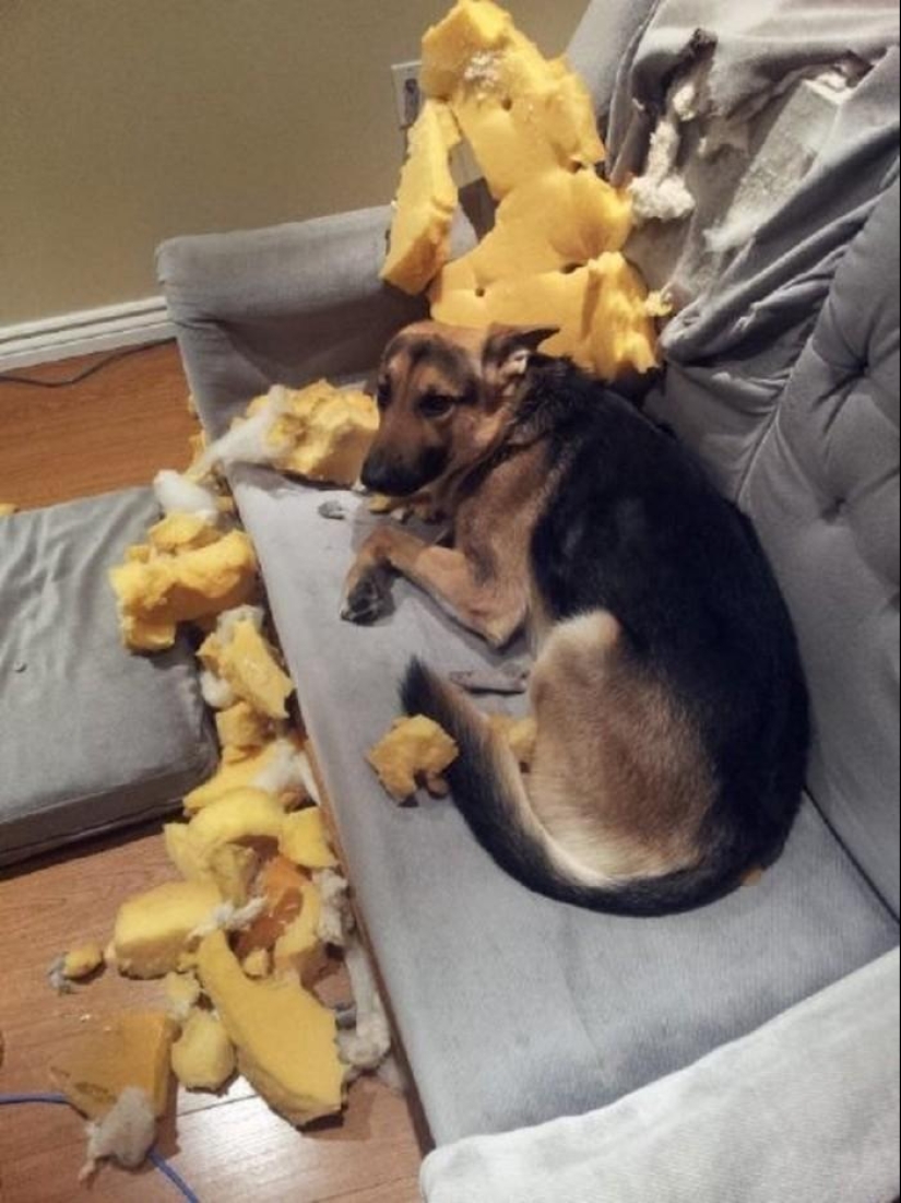 Master, yes, I have nothing to do with it at all Master, yes, I have nothing to do with it at all