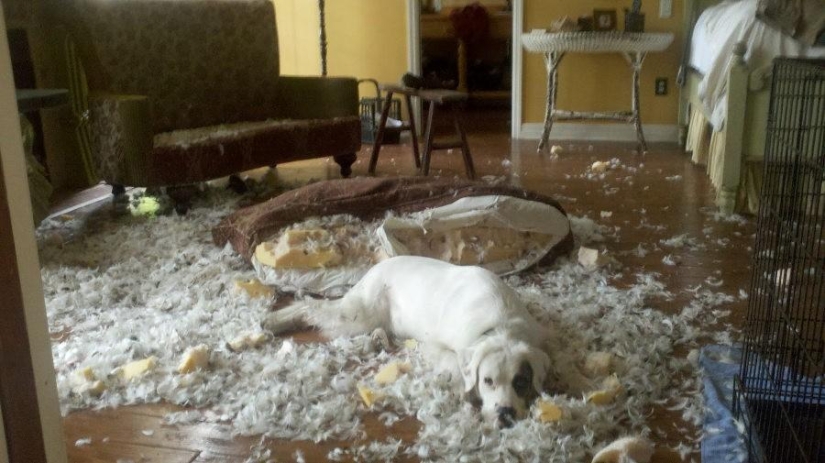 Master, yes, I have nothing to do with it at all Master, yes, I have nothing to do with it at all