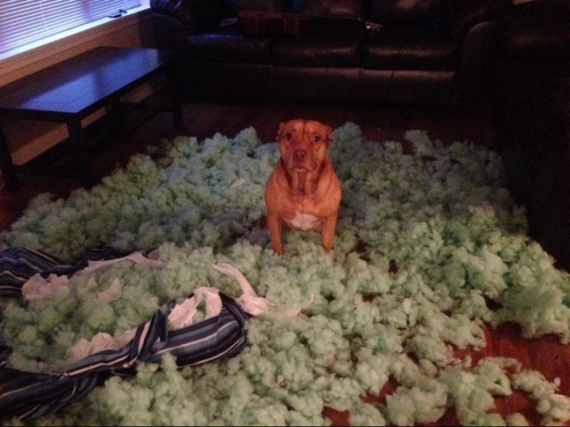 Master, yes, I have nothing to do with it at all Master, yes, I have nothing to do with it at all