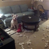 Master, yes, I have nothing to do with it at all