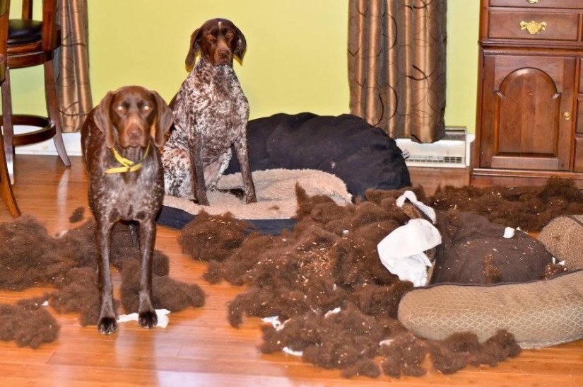 Master, yes, I have nothing to do with it at all Master, yes, I have nothing to do with it at all