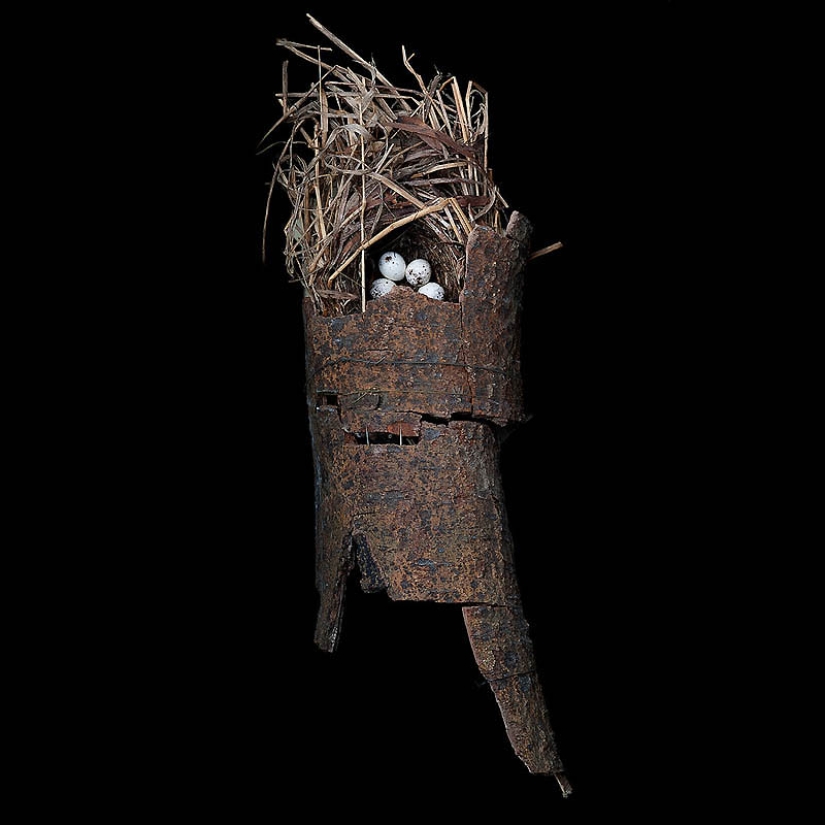 Masterpieces of natural architecture-bird nests