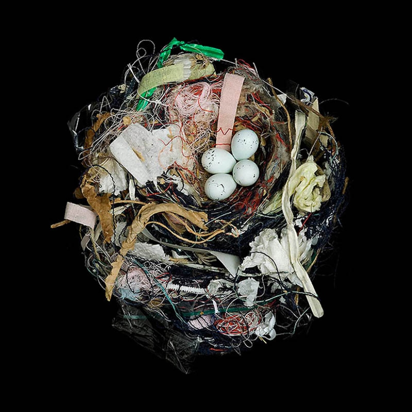 Masterpieces of natural architecture-bird nests