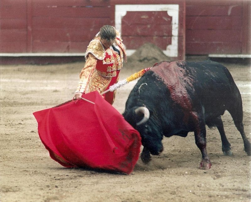 Matador Cristina Sanchez: how the bullfighting master's star rose and set