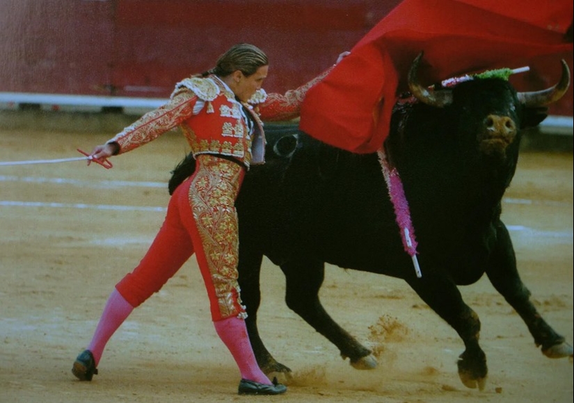 Matador Cristina Sanchez: how the bullfighting master's star rose and set
