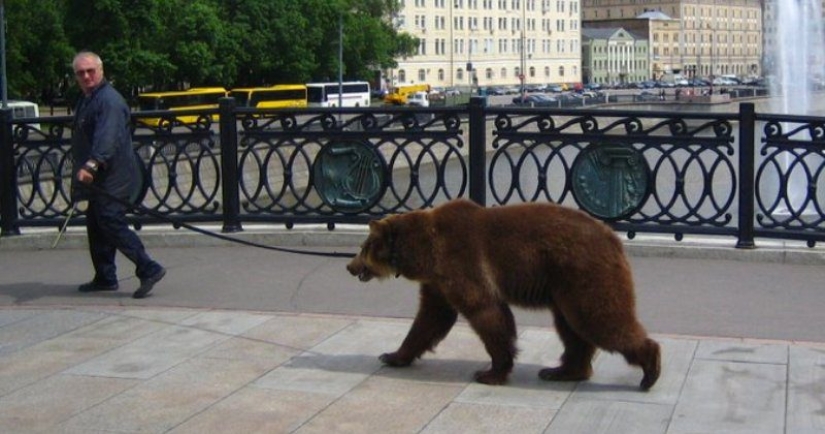 "Meanwhile in ...": 20 photos with features of different countries "Meanwhile in ...": 20 photos with features of different countries