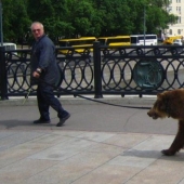 "Meanwhile in ...": 20 photos with features of different countries "Meanwhile in ...": 20 photos with features of different countries