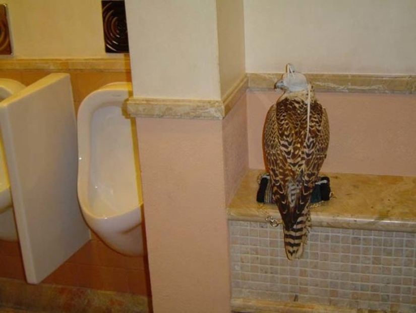 "Meanwhile in ...": 20 photos with features of different countries "Meanwhile in ...": 20 photos with features of different countries
