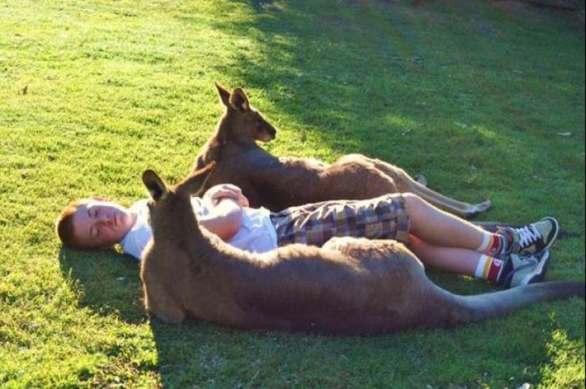 "Meanwhile in ...": 20 photos with features of different countries "Meanwhile in ...": 20 photos with features of different countries