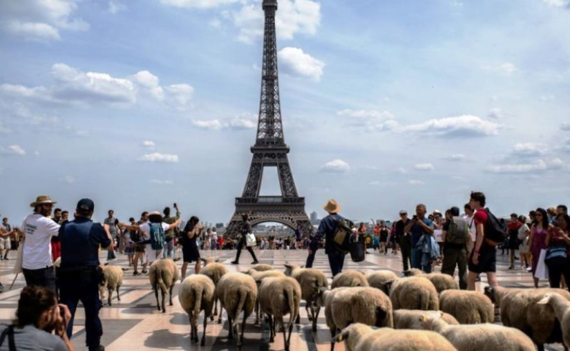 "Meanwhile in ...": 20 photos with features of different countries "Meanwhile in ...": 20 photos with features of different countries