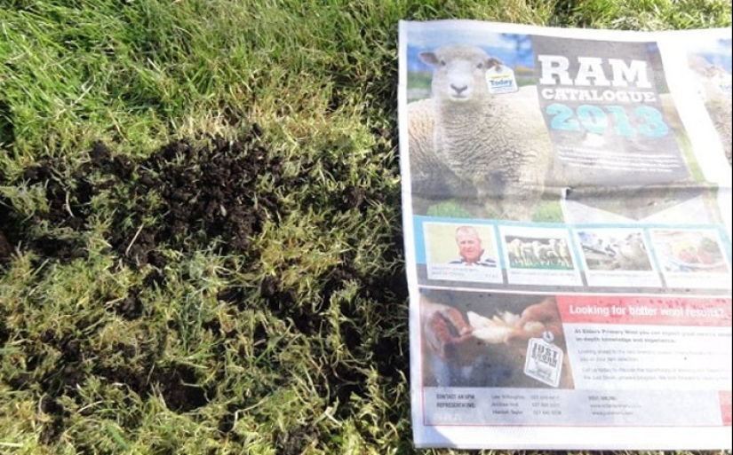 Memories from the past: 15 ways to use a read newspaper