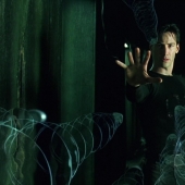 Memory slow-mo: 17 best CanoScan in slow motion