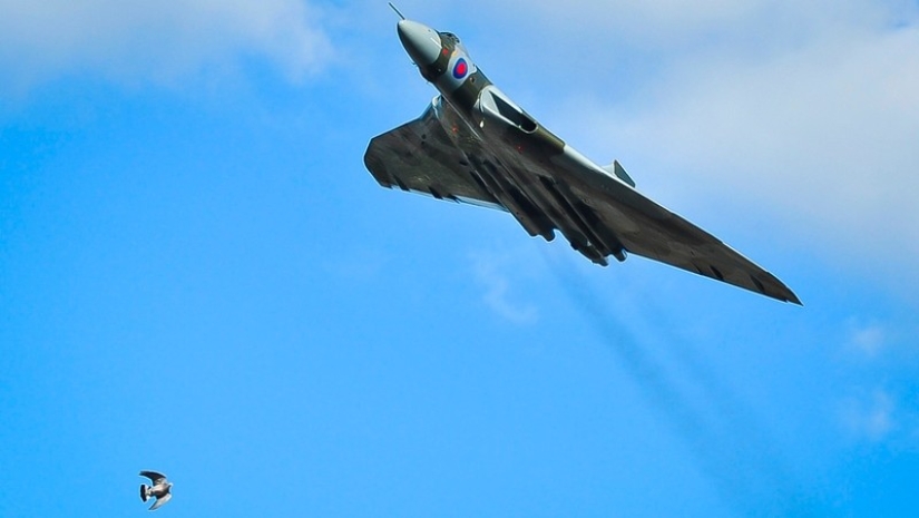 Merciless time, or 10 disappearing things that remained in one copy