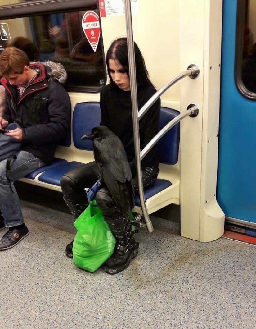 Metro — a place of contrasts, and 22 photos that will convince you