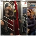 Metro is not a place for normal people, and here are 20 of the evidence Metro is not a place for normal people, and here are 20 of the evidence