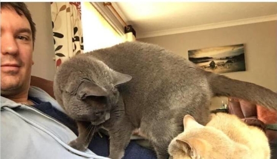 Mi casa, mi gato: fotos de los gatos que andan en casa de otra gente