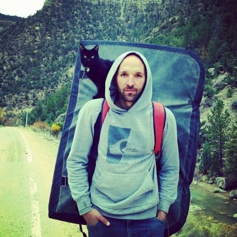 Mi escalador: el primer gato escalador del mundo