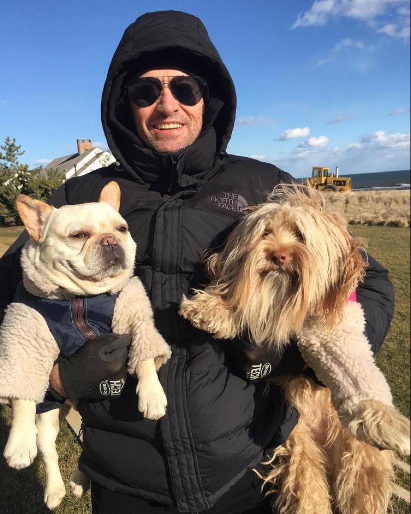 Milla Jovovich with radish and Hugh Jackman dogs: 20 unusual images of stars Milla Jovovich with radish and Hugh Jackman dogs: 20 unusual images of stars