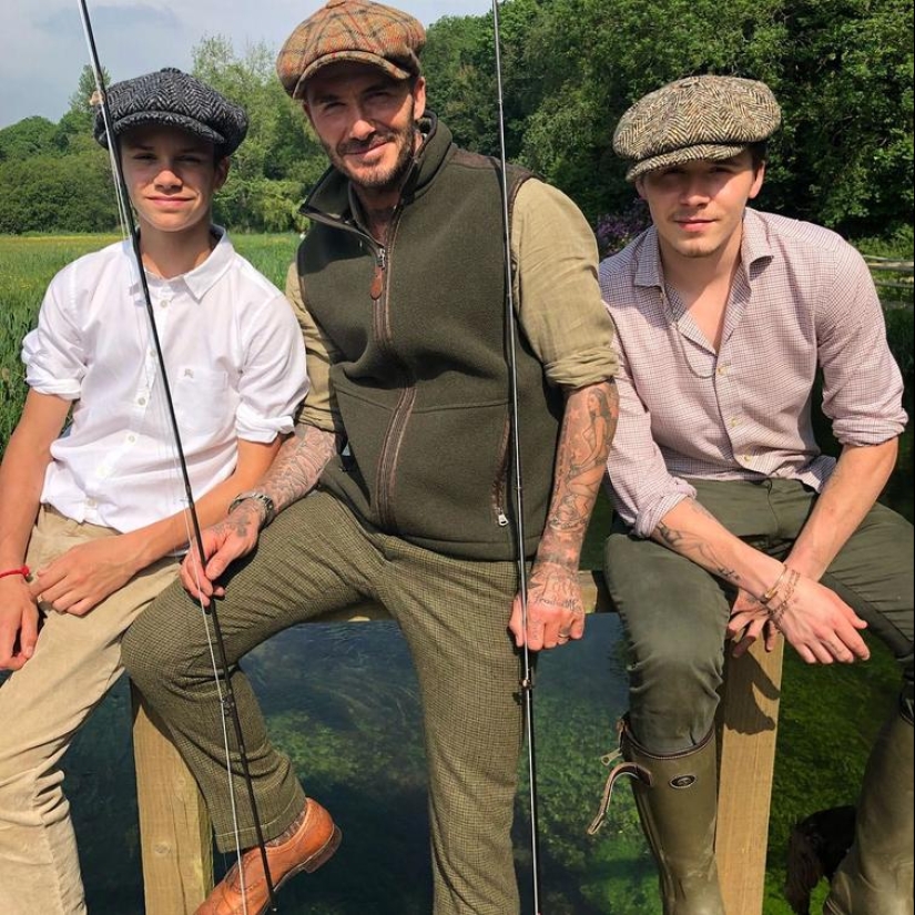 Milla Jovovich with radish and Hugh Jackman dogs: 20 unusual images of stars Milla Jovovich with radish and Hugh Jackman dogs: 20 unusual images of stars