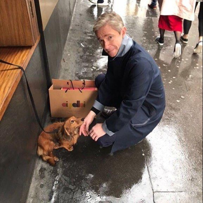 Milla Jovovich with radish and Hugh Jackman dogs: 20 unusual images of stars Milla Jovovich with radish and Hugh Jackman dogs: 20 unusual images of stars